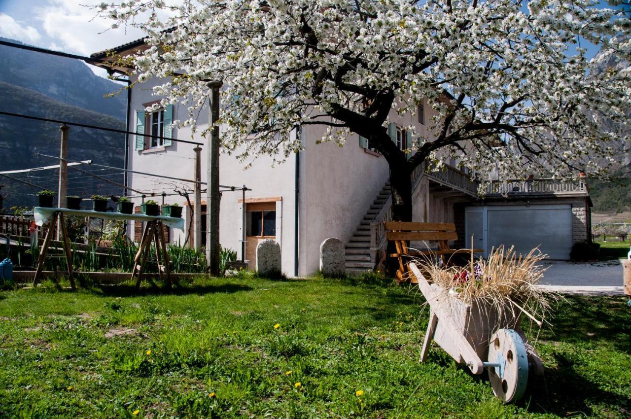 B&B La Fosina Mezzolombardo Kültér fotó